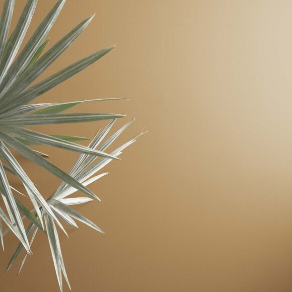 Benjamin Moore Super Spec HP DTM Alkyd Semi-Gloss Baked Cumin Color Oil Paint - Picture 1 of 5